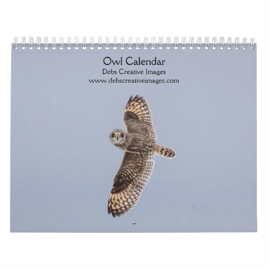 2027 Mysterieuze Uilen | Nachtelijke Wilde Natuur Kalender (Hoes)