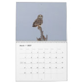 2027 Mysterieuze Uilen | Nachtelijke Wilde Natuur Kalender (Mar 2027)