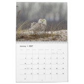 2027 Mysterieuze Uilen | Nachtelijke Wilde Natuur Kalender (Jan 2027)