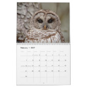 2027 Mysterieuze Uilen | Nachtelijke Wilde Natuur Kalender (Feb 2027)
