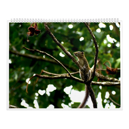 2027 Natuurfotografie Agenda Kalender (Hoes)