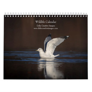 2027 Noord-Amerikaanse Wilde Dieren Wilde Dieren Kalender