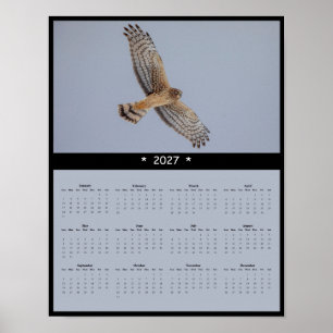2027 Noordelijke Kiekendief Muurkalender - Graslan Poster