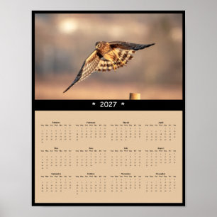 2027 Noordelijke Kiekendief Muurkalender Uilachtig Poster