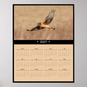 2027 Noordelijke Kiekendief Muurkalender - Witte S Poster