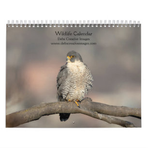2027 Noordoostelijke Wilde Dieren   Vogels & Zoogd Kalender