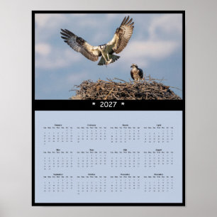 2027 Osprey Muurkalender - Majestueuze Roofvogels Poster