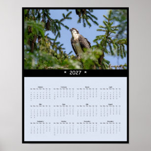 2027 Osprey Muurkalender - Vis Havik Foto Poster