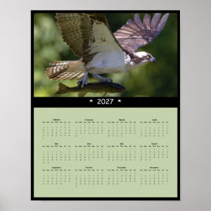 2027 Osprey Muurkalender - Zwevende Wilde Dieren Poster