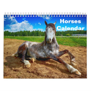 2027 Paard Kalender