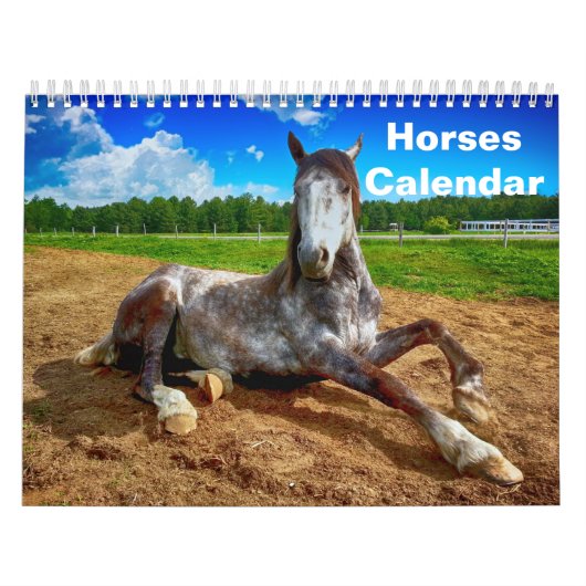 2027 Paard Kalender (Hoes)