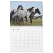 2027 Paard Kalender (Mar 2027)