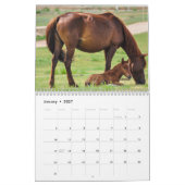 2027 Paard Kalender (Jan 2027)
