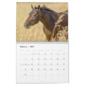 2027 Paard Kalender (Feb 2027)