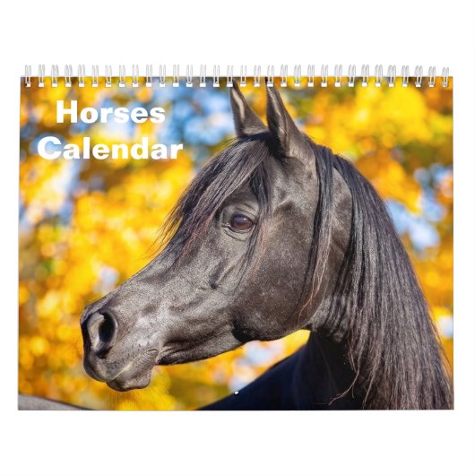 2027 Paard Kalender (Hoes)