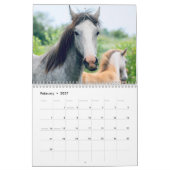 2027 Paard Kalender (Feb 2027)