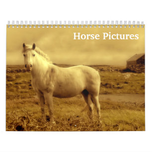 2027 Paarden Foto's Afbeeldingen Kalender