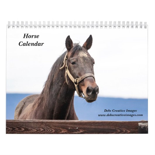 2027 Paarden van New York | Equestriële Fotografie Kalender (Hoes)