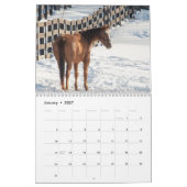 2027 Paarden van New York | Equestriële Fotografie Kalender (Jan 2027)