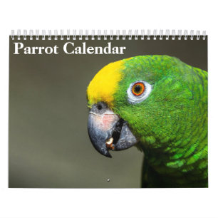2027 Papegaai Kalender