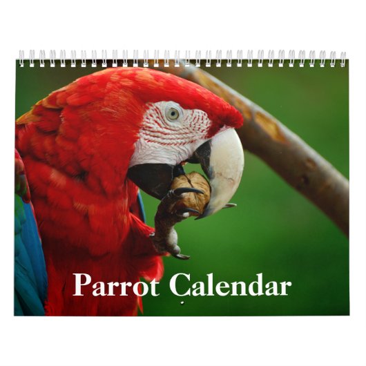 2027 Papegaai Kalender (Hoes)
