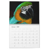 2027 Papegaai Kalender (Jan 2027)