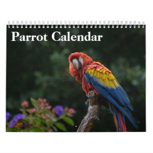 2027 Papegaai Kalender