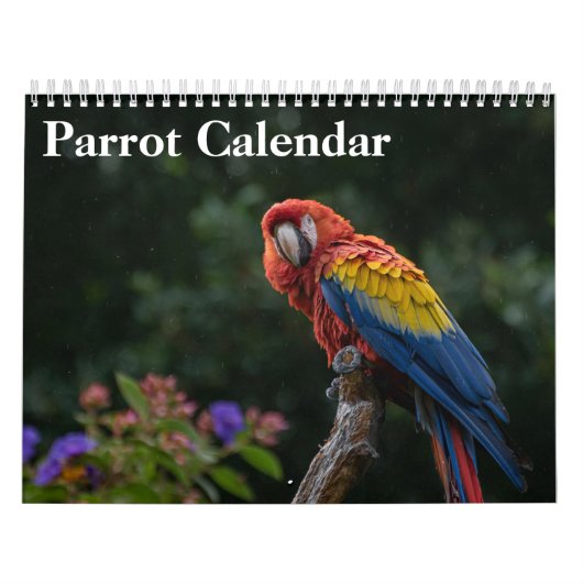 2027 Papegaai Kalender  (Hoes)