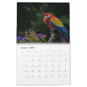 2027 Papegaai Kalender (Jan 2027)