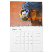 2027 Papegaai Kalender (Feb 2027)