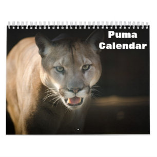 2027 Poema Kalender