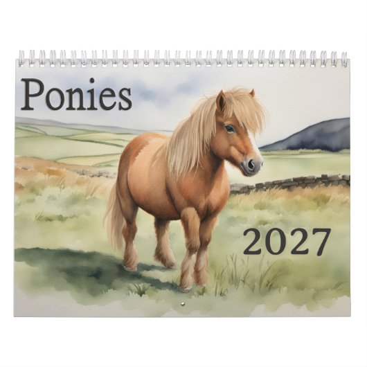 2027 Poneys Kalender (Hoes)