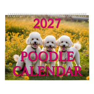 2027 POODLE KALENDER