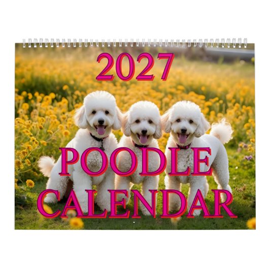 2027 POODLE KALENDER (Hoes)
