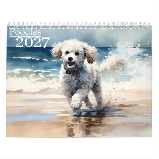 2027 Poodles Kalender (Hoes)