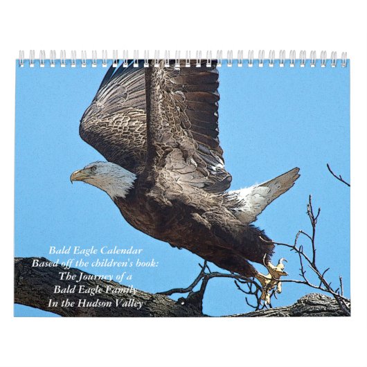 2027 Posterized Amerikaanse Zeearenden | Wildeleve Kalender (Hoes)