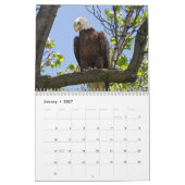 2027 Posterized Amerikaanse Zeearenden | Wildeleve Kalender (Jan 2027)