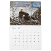 2027 Posterized Amerikaanse Zeearenden | Wildeleve Kalender (Feb 2027)