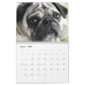 2027 Precious Pugs Kalender (Mar 2027)