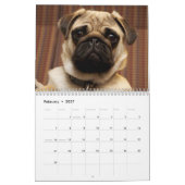 2027 Precious Pugs Kalender (Feb 2027)