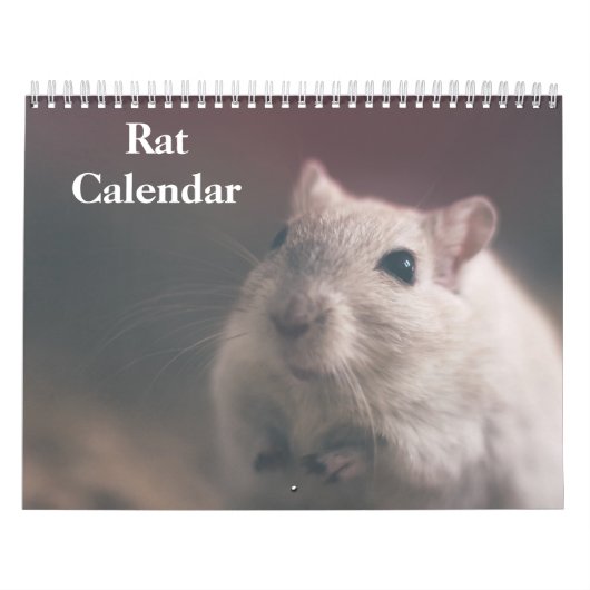2027 Rat Kalender (Hoes)