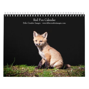 2027 Rode Vossen   Bos- en natuurfotografie Kalender
