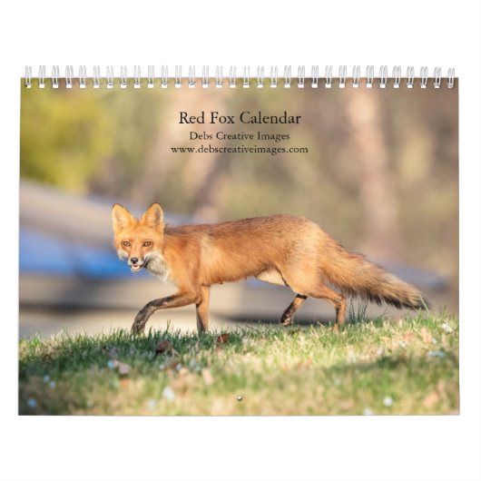 2027 Rode Vossen | Bosland Natuurfotografie Kalender (Hoes)