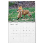 2027 Rode Vossen | Bosland Natuurfotografie Kalender (Feb 2027)