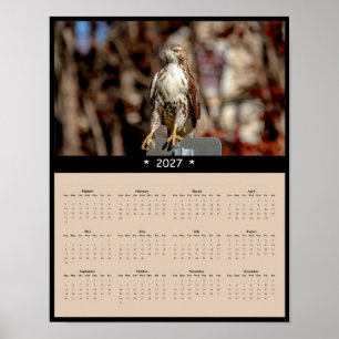 2027 Roodstaartbuizerd Muurkalender Gezette Roofvo Poster
