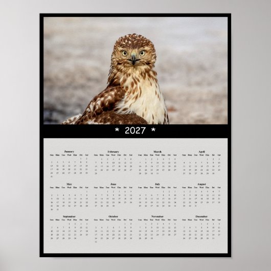 2027 Roodstaartbuizerd Muurkalender - Grote Ogen Poster (Voorkant)
