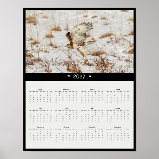 2027 Roodstaartbuizerd Muurkalender - Hemelwachter Poster (Voorkant)
