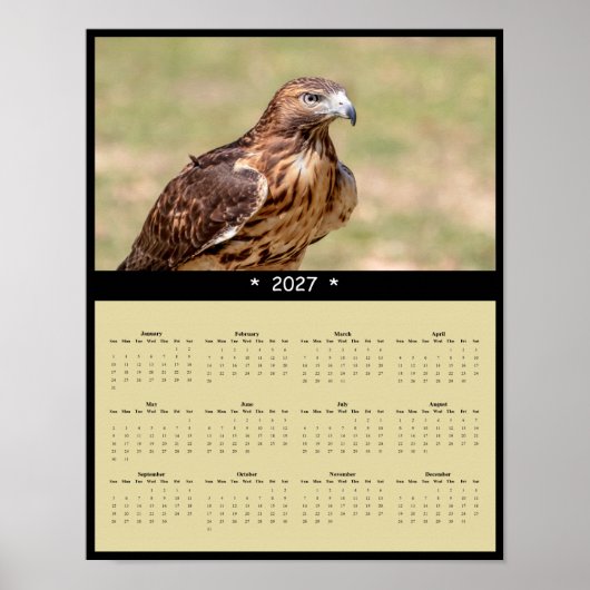 2027 Roodstaartbuizerd Muurkalender - Roofvogel Poster (Voorkant)