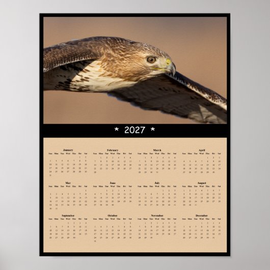 2027 Roodstaartbuizerd Muurkalender - Roofvogel Poster (Voorkant)