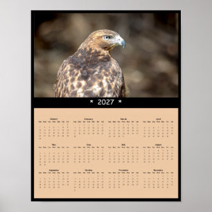 2027 Roodstaartbuizerd Muurkalender - Wild Horizon Poster